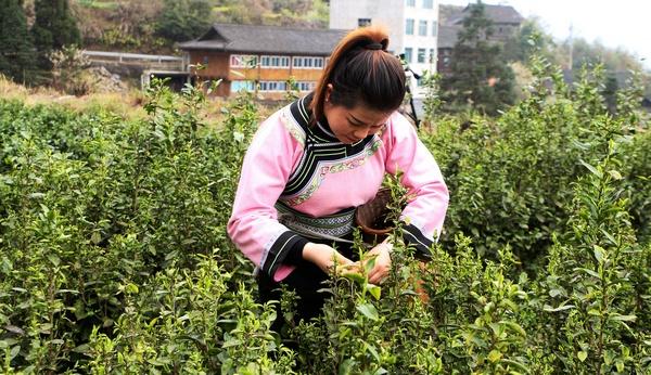 农业合作社贷款申请书_农业合作社贷款_农业合作社贷款需要什么条件